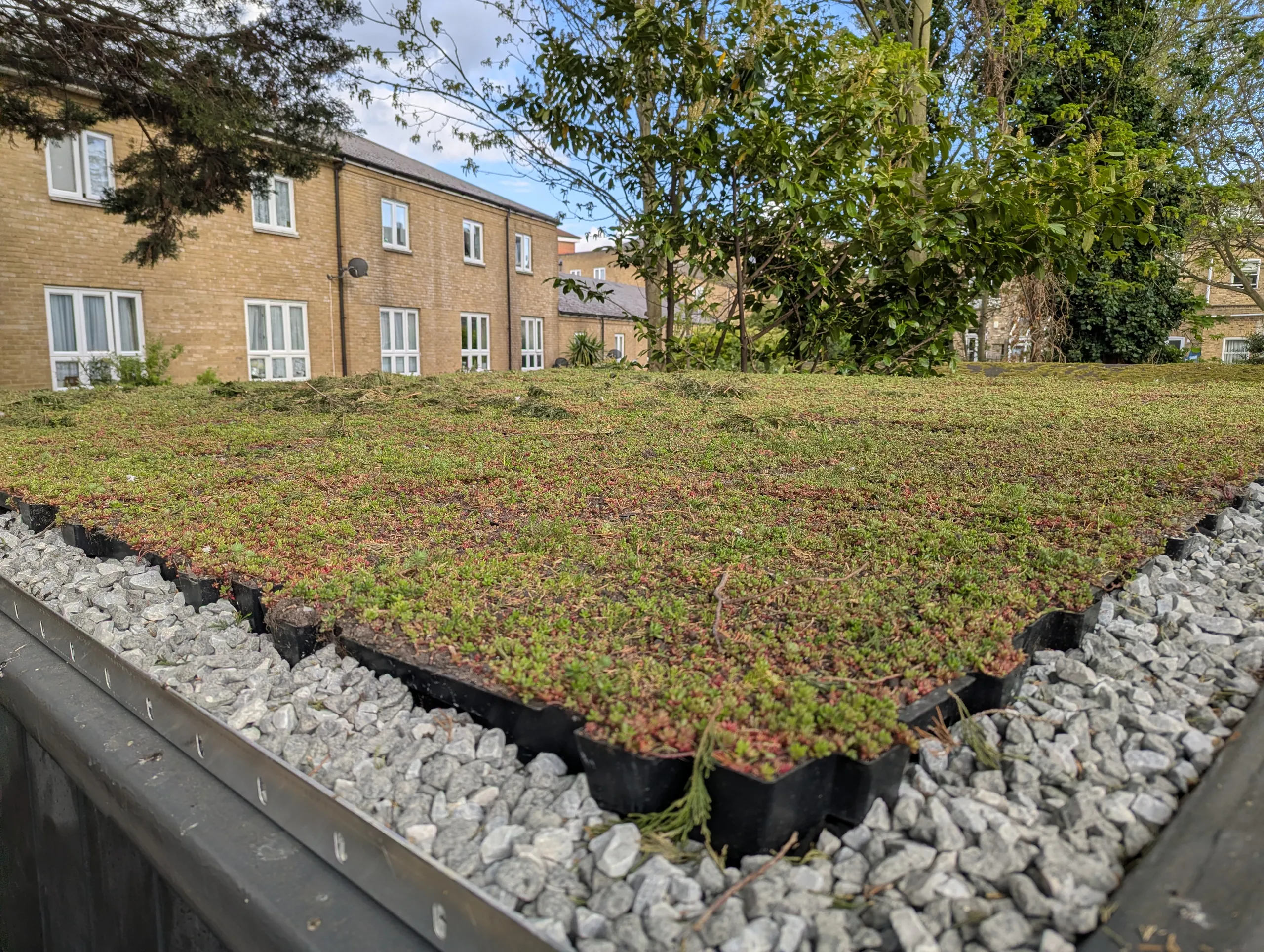 Low angle view along the sedum roof showing the individual black planting trays and their 80mm depth behind the pebble border